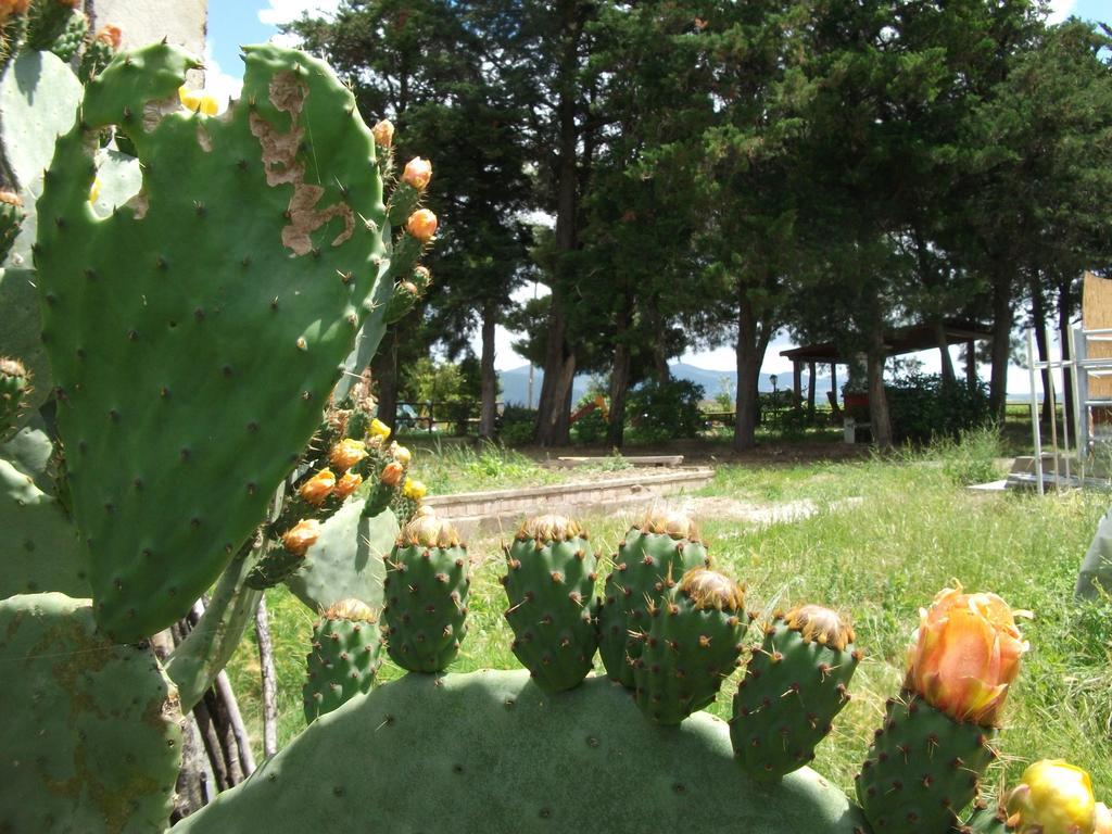 Agriturismo Mandriato Santa Luce Buitenkant foto